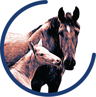Icône d'une jument et de sa pouliche pour représenter un élevage de chevaux lusitaniens et ibériques dans les Hautes Pyrénées.