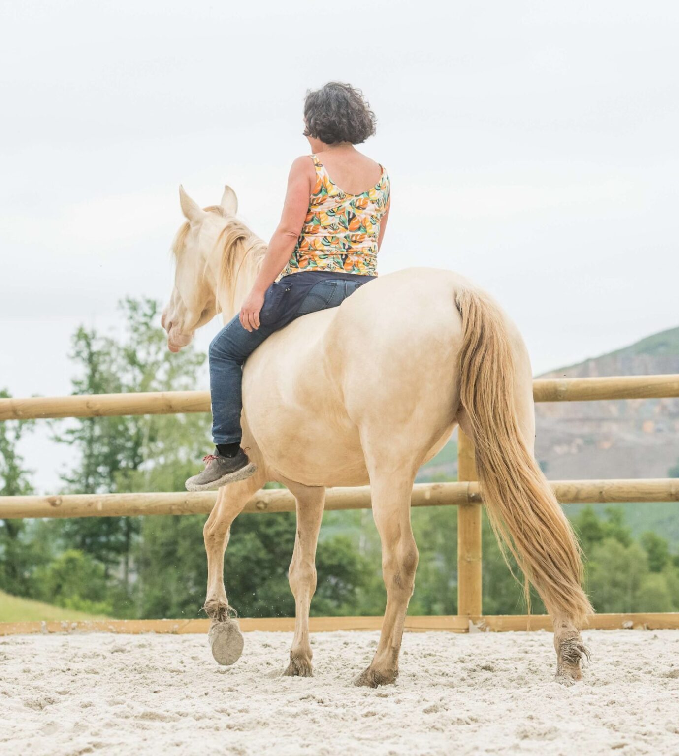 Travail monté en liberté, en clicker training par comportementaliste équin, dans une confiance mutuelle.